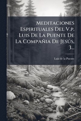 bokomslag Meditaciones Espirituales Del V.p. Luis De La Puente De La Compañia De JesÃ°s, 3...