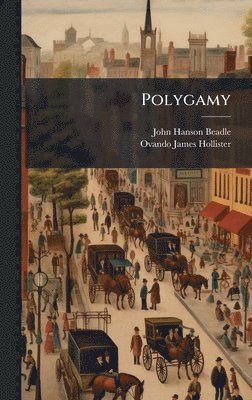bokomslag Polygamy