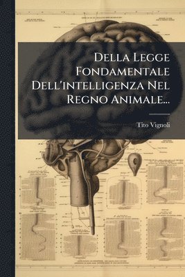 bokomslag Della Legge Fondamentale Dell'intelligenza Nel Regno Animale...