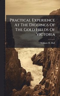 bokomslag Practical Experience At The Diggings Of The Gold Fields Of Victoria