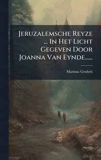 bokomslag Jeruzalemsche Reyze ... In Het Licht Gegeven Door Joanna Van Eynde......