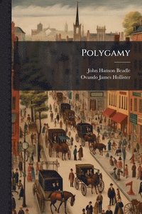 bokomslag Polygamy