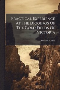 bokomslag Practical Experience At The Diggings Of The Gold Fields Of Victoria