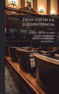 bokomslag Defectos De La Jurisprudencia