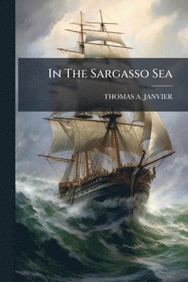 bokomslag In The Sargasso Sea