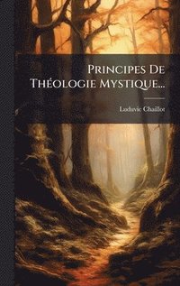 bokomslag Principes De ThÃ(c)ologie Mystique...