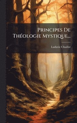 bokomslag Principes De ThÃ(c)ologie Mystique...
