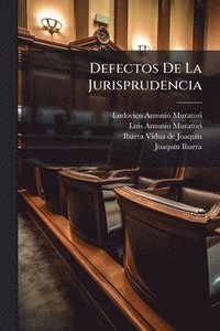 bokomslag Defectos De La Jurisprudencia