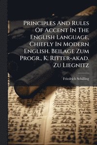 bokomslag Principles And Rules Of Accent In The English Language, Chiefly In Modern English. Beilage Zum Progr., K. Ritter-akad. Zu Liegnitz