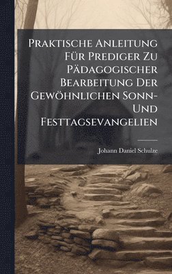 bokomslag Praktische Anleitung FÃ¼r Prediger Zu PÃ¿dagogischer Bearbeitung Der GewÃ¶hnlichen Sonn- Und Festtagsevangelien