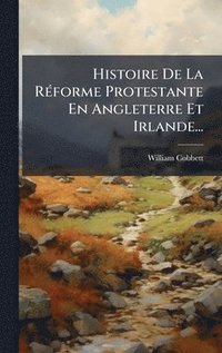 bokomslag Histoire De La RÃ(c)forme Protestante En Angleterre Et Irlande...