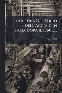 bokomslag L'industria Del Ferro E Dell Acciaic In Italia Dopa Il 1860 ......