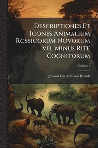 bokomslag Descriptiones Et Icones Animalium Rossicorum Novorum Vel Minus Rite Cognitorum