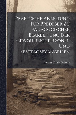 bokomslag Praktische Anleitung FÃ1/4r Prediger Zu Pädagogischer Bearbeitung Der Gewöhnlichen Sonn- Und Festtagsevangelien