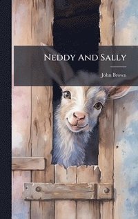 bokomslag Neddy And Sally