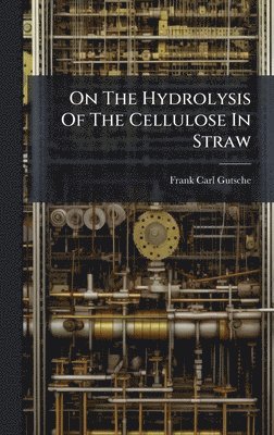 bokomslag On The Hydrolysis Of The Cellulose In Straw