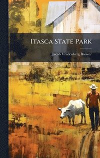 bokomslag Itasca State Park
