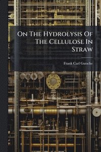 bokomslag On The Hydrolysis Of The Cellulose In Straw