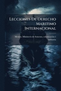 bokomslag Lecciones De Derecho Maritimo Internacional