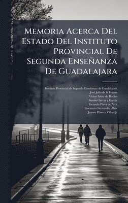 bokomslag Memoria Acerca Del Estado Del Instituto Provincial De Segunda EnseÃ±anza De Guadalajara