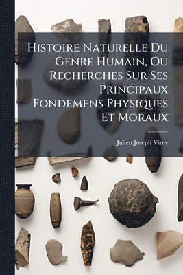 bokomslag Histoire Naturelle Du Genre Humain, Ou Recherches Sur Ses Principaux Fondemens Physiques Et Moraux