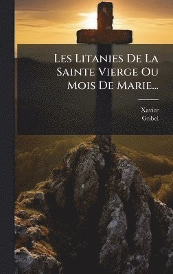 bokomslag Les Litanies De La Sainte Vierge Ou Mois De Marie...