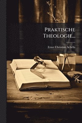 bokomslag Praktische Theologie...