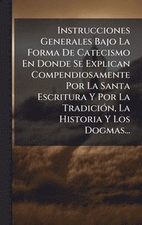 bokomslag Instrucciones Generales Bajo La Forma De Catecismo En Donde Se Explican Compendiosamente Por La Santa Escritura Y Por La TradiciÃ3n, La Historia Y Los