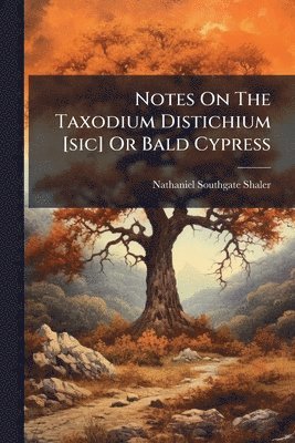 bokomslag Notes On The Taxodium Distichium [sic] Or Bald Cypress