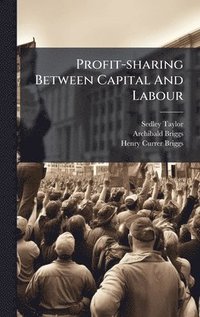 bokomslag Profit-sharing Between Capital And Labour