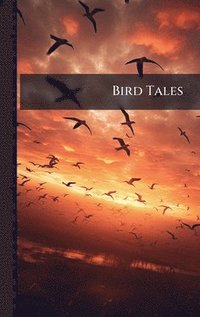 bokomslag Bird Tales