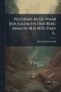 bokomslag Pelgrims-reize Naar Jerusalem En Den Berg Sinai In 1831-1833, Part 3...