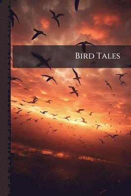 Anonymous - Bird Tales, Häftad