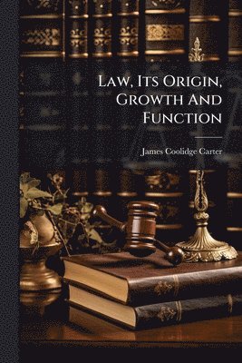 bokomslag Law, Its Origin, Growth And Function