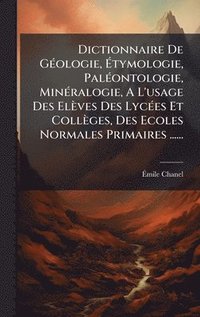 bokomslag Dictionnaire De GÃ(c)ologie, Ã¿tymologie, PalÃ(c)ontologie, MinÃ(c)ralogie, A L'usage Des Elèves Des LycÃ(c)es Et Collèges, Des Ecoles Normales Primaires ......