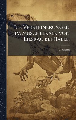 bokomslag Versteinerungen im Muschelkalk von Lieskau bei Halle.