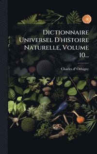bokomslag Dictionnaire Universel D'histoire Naturelle, Volume 10...
