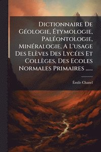 bokomslag Dictionnaire De GÃ(c)ologie, Ã?tymologie, PalÃ(c)ontologie, MinÃ(c)ralogie, A L'usage Des Elèves Des LycÃ(c)es Et Collèges, Des Ecoles Normales P