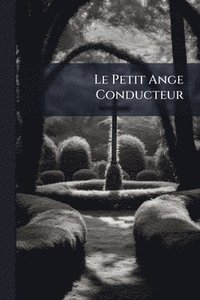 bokomslag Petit Ange Conducteur