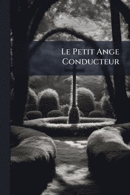 bokomslag Petit Ange Conducteur