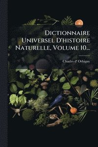 bokomslag Dictionnaire Universel D'histoire Naturelle, Volume 10...