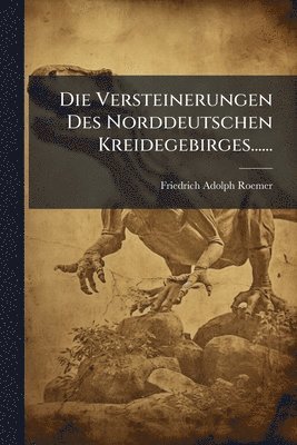 bokomslag Versteinerungen Des Norddeutschen Kreidegebirges......