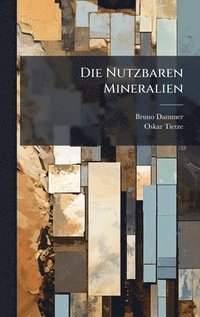 bokomslag Die Nutzbaren Mineralien
