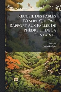 bokomslag Recueil Des Fables D'esope Qui Ont Rapport Aux Fables De Phèdre Et De La Fontaine...
