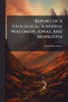 David Dale Owen - Report Of A Geological Surveyof Wisconsin, Iowas, And Minnesota, Häftad