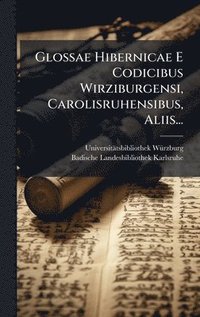 bokomslag Glossae Hibernicae E Codicibus Wirziburgensi, Carolisruhensibus, Aliis...