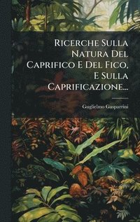 bokomslag Ricerche Sulla Natura Del Caprifico E Del Fico, E Sulla Caprificazione...