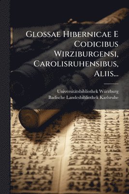 bokomslag Glossae Hibernicae E Codicibus Wirziburgensi, Carolisruhensibus, Aliis...