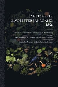 bokomslag Jahreshefte, Zwoelfter Jahrgang, 1856