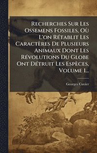 bokomslag Recherches Sur Les Ossemens Fossiles, OÃ¹ L'on RÃ(c)tablit Les Caractères De Plusieurs Animaux Dont Les RÃ(c)volutions Du Globe Ont DÃ(c)truit Les Espèces, Volume 1...